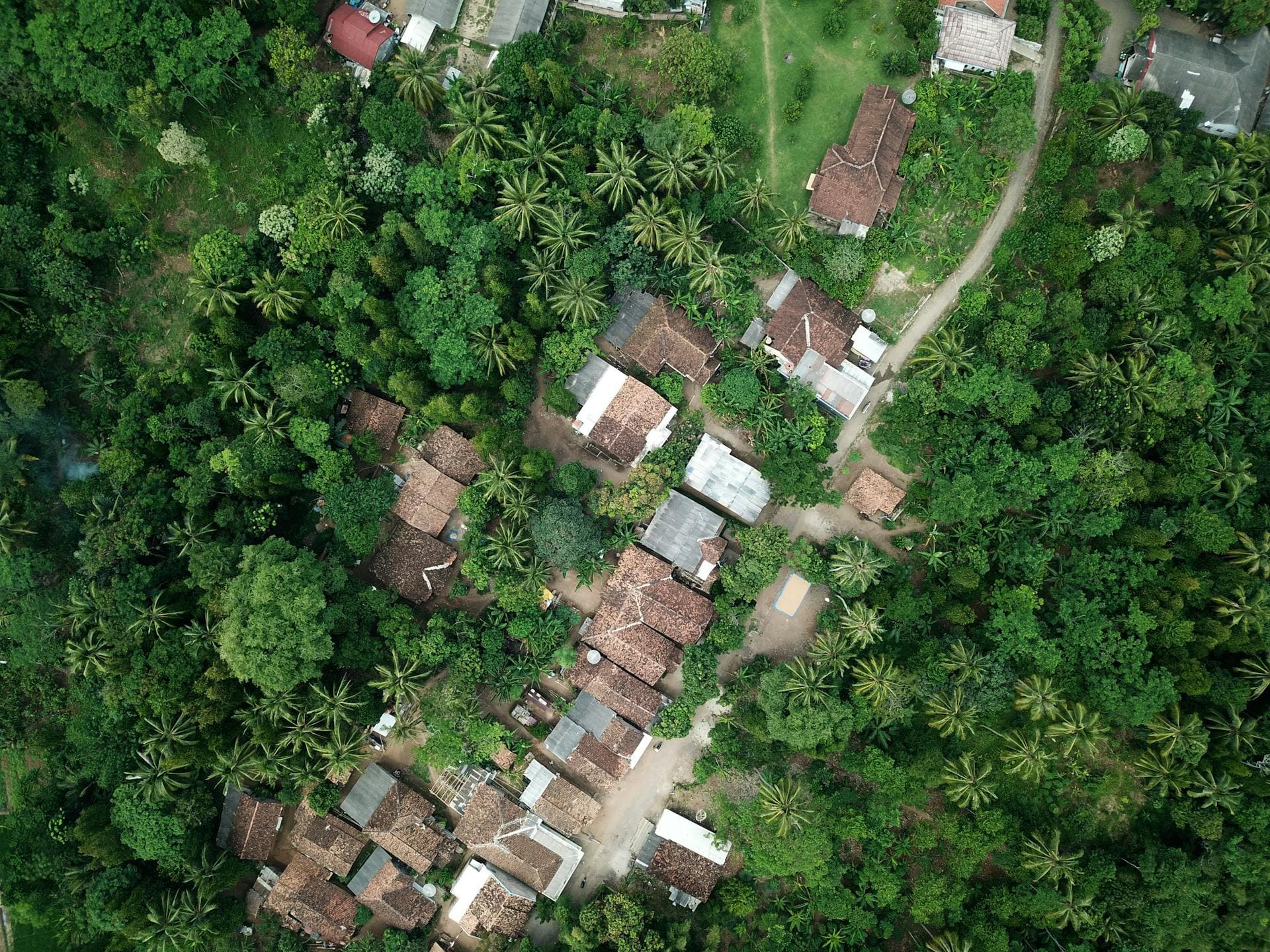 Aerial view of an eco-village nestled in lush forest